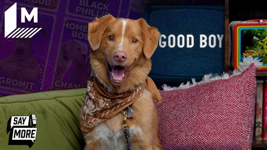'Good Boy's dog, Indy, and filmmakers play Choose Your Squad