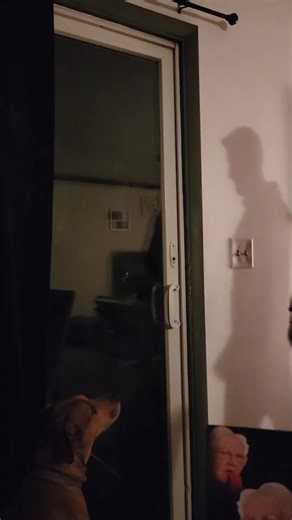 Funny Middle Finger Jokes and Unexpected Comedy Video