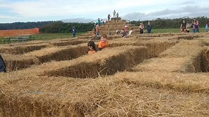 Heather Grabow on Reels | Facebook