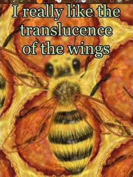 Adding the wings to finish up this honeybee pattern. I love how they turned out!