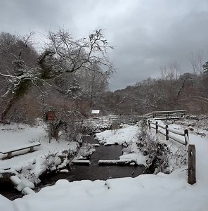 Stony Brook Grist Mill (Herring Run) Brewster, Massachusetts - Cape Cod | Cape Cod, Massachusetts