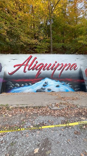 710K views · 49K reactions | Aliquippa, PA #art #mural #ironwill #quips Aliquippa Economic Development Corporation - AEDC | Abstract Dissent | Facebook