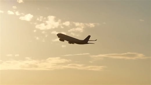 Don’t fly before these 4 one‑minute travel checks