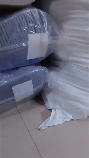 Hilarious Baby Kitten Poop Fail – You Won't Believe This! 😂🐱