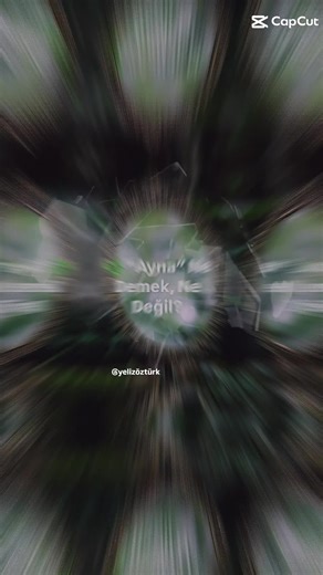 Ayna Kavramı ve Sağlıklı Sınır Tesisi