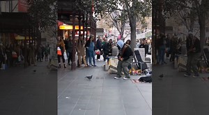 Pigeon Dances To 'Blurred Lines'