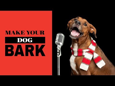 Sound to make dog bark