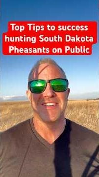 Tips to pheasant hunting success on South Dakota Public Land. #dogs #pheasanthunting #southdakota