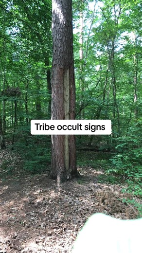 King of Random on TikTok