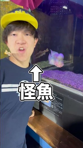 The aquarium with the giant tank that you can enter was so much fun!!!