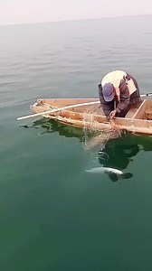 Amazing fishing🎣🐠🐋🐟 .. .. .. .. .. #fishyfishstone #fishcatching #AnglerLife #crab #angeln #fishing #tip #catchandrelease #bigcarp #fishingtrip #amzingfish #mostfish | Most fish