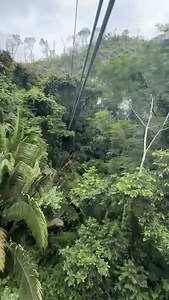 3.1K views · 16 reactions | Explore with us our new adventure zipline through the cave no long hiking you zipline directly to the cave system and start cave tubing adventure we do 3 activities cave tubing mayan temples and cave zipline | Belize Celebrity Diving | Facebook