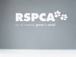 The RSPCA has come up with several variations on this classic, but the original is still the best - timeless. | Classic Australian TV ads