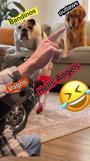 Hell’s Angel’s dancing like a beauty queen? ￼ 🤣😂🤣