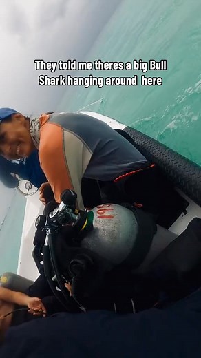 2.7K views · 14 reactions | Its a bull shark adventure today! This dive was so cool! I saw a ton of ocean life The current was actually super strong down there, and the shark was using it to smell | Derick Bassett | Facebook
