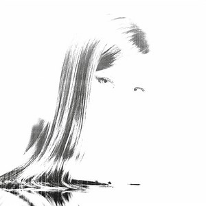 Ando Laj - Dog Insight