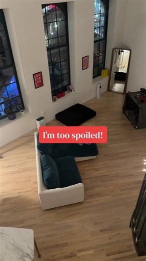 Embracing Solo Life as a Dog Mom