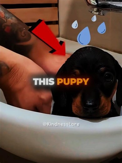 Puppy Adores Her First Bath 🐶