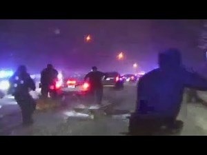 LiveLeak - Murder Suspect Tased, Shot & K-9'd