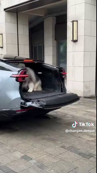 Deepal E07 รถไฟฟ้า รีวิว รถยนต์ไฟฟ้า กรุงเทพฯ เซลล์ เฟิร์ส Korat