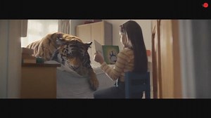 This heartbreaking WWF Christmas ad is the best one yet https://goo.gl/EJL5VY | Express Tribune Video