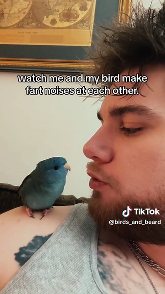 Bird and Beard on TikTok