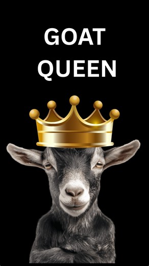Goat Queen Trophy | Goat Simulator