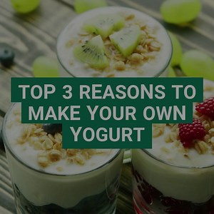 2.6K views · 147 reactions | Make your own yogurt right at home with starter cultures! Choose from options like vegan, greek, and bulgarian to flavor how ever you want! | Cultures for Health | Facebook