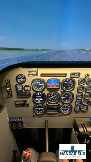 Landung Baron 58 - Flugsimulator #aviation #beechcraft #flightsimulator t