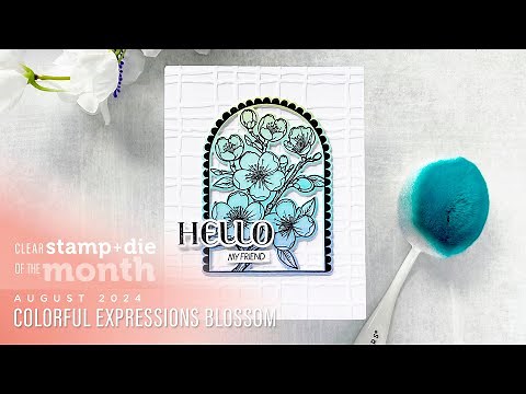 Spellbinders August 2024 Clear Stamp + Die of the Month – Colorful Expressions Blossom
