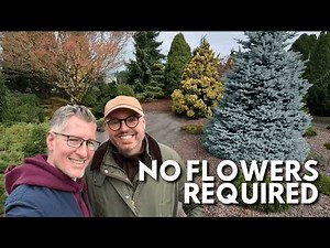 Garden Design with Japanese Maples & Conifers | Iseli Nursery Tour