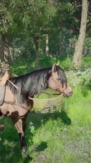 How To Heal Horse in Crimson Desert Quick Guide