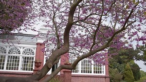 139K views · 1.6K reactions | Wolverhampton Today on Reels | Facebook