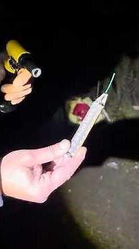 Tropic Exploder 5 NEC 4.5 g Kat P1 #fireworks #pyrotechnica #pyro #polenböller #firecracker