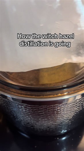 It’s definitely a slow process but well worth it to have my own witch hazel. I can use and beauty products or on my skin so much love and attention goes into this craft…. I really like the fresh snow outside and being able to put it in bags for the top and is so much easier than using ice from the freezer. #witchhazel #homemade #homestead #slowdown #dyi
