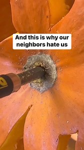 3.2M views · 4.9K reactions | Funny pumpkin design  | Incorrect Harry Potter | Facebook