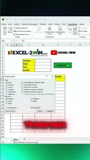 ⚙️ Crea una Macro INSERTAR en Excel en 1 Minuto