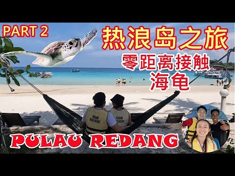 【Part 2】Pulau Redang 热浪岛之旅 | 零距离接触海龟！还认识了导游带我们飞 — VLOG