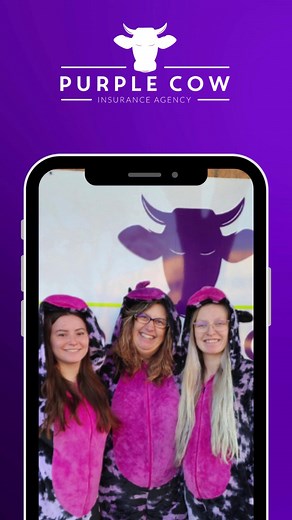 One call. One agency. All your policies.  (406) 628-6649 | Purple Cow Insurance Agency | Facebook