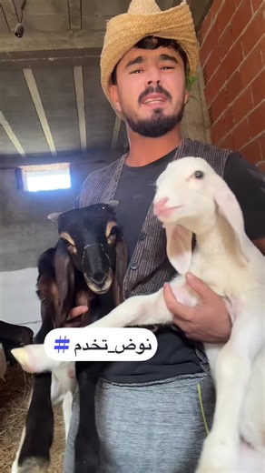 مشروع ناجح في تيزي وزو بومرداس بجاية بويرة — كيف تبدأ؟