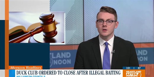 Duck club ordered to close after illegal baiting