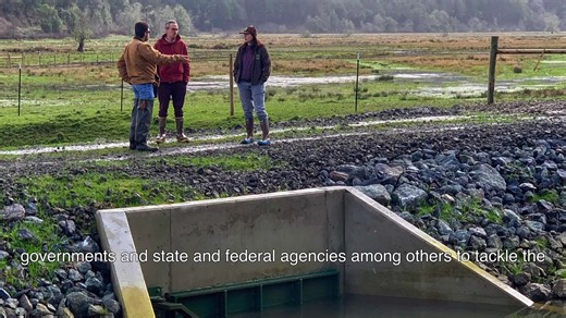 4K views · 46 reactions | Oregon Coast Coho, found from the Necanicum River on the north coast to the Sixes River in the south, are a conservation success story today because of forward-thinking Oregonians and partnerships that provided a pathway to recovery. | Oregon Department of Fish and Wildlife | Facebook