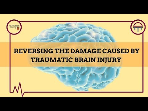 Reversing the Damage Caused by Traumatic Brain Injuries