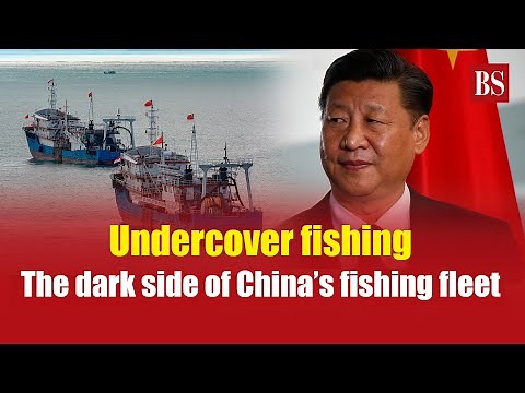 The hidden war at sea: China’s illegal fishing explained | Environmental & geopolitical fallout