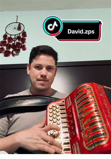 Perfect Arrangement in Accordion Music