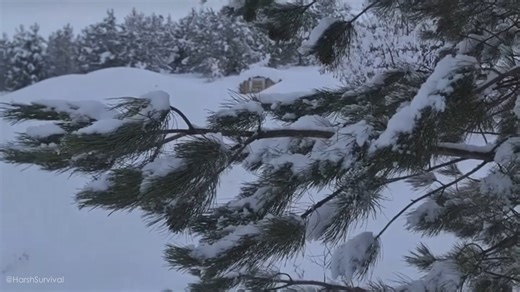 15K views · 216 reactions | Extreme Survival: –67°C Off-Grid Cabin in Siberia | Skiing Lovers | Facebook