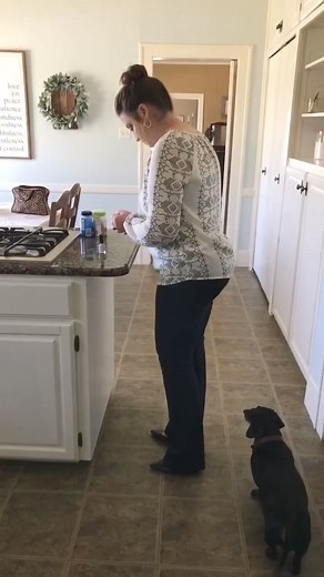 86K views · 2.9K reactions | #boo #scare #fucker ＊＊＊ SUNDAY FUNDAY＊＊＊ | Family's Prank | Facebook