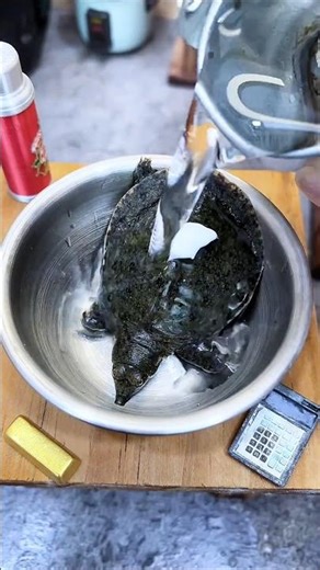 Mini cooking (tiny turtle) #minicooking #miniature #cooking