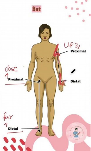 Proximal vs Distal — Never Confuse Again! | BSc Nursing Anatomy | Memory Trick