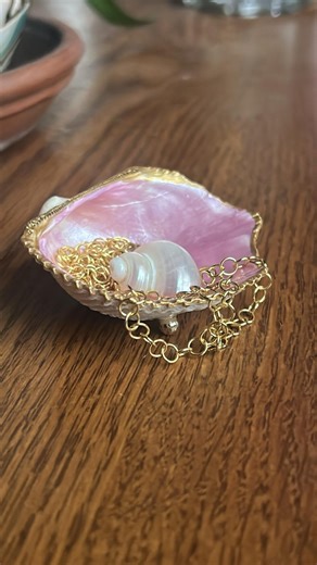 Shell Jewelry Display - Real Shell Ring Tray - Etsy